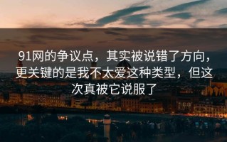 91网的争议点，其实被说错了方向，更关键的是我不太爱这种类型，但这次真被它说服了