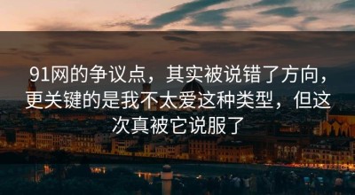 91网的争议点，其实被说错了方向，更关键的是我不太爱这种类型，但这次真被它说服了
